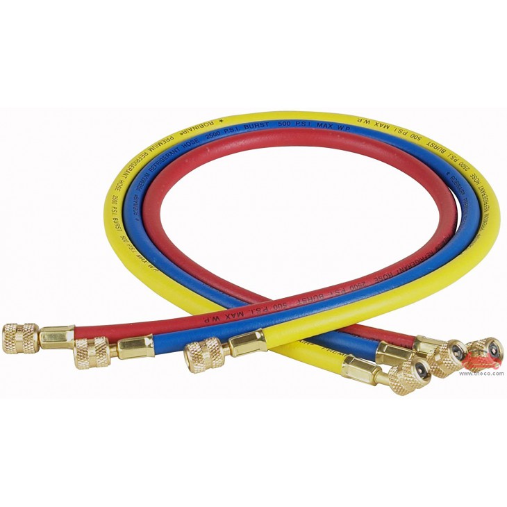 Bộ ống dây sạc ga lạnh Robinair 30036